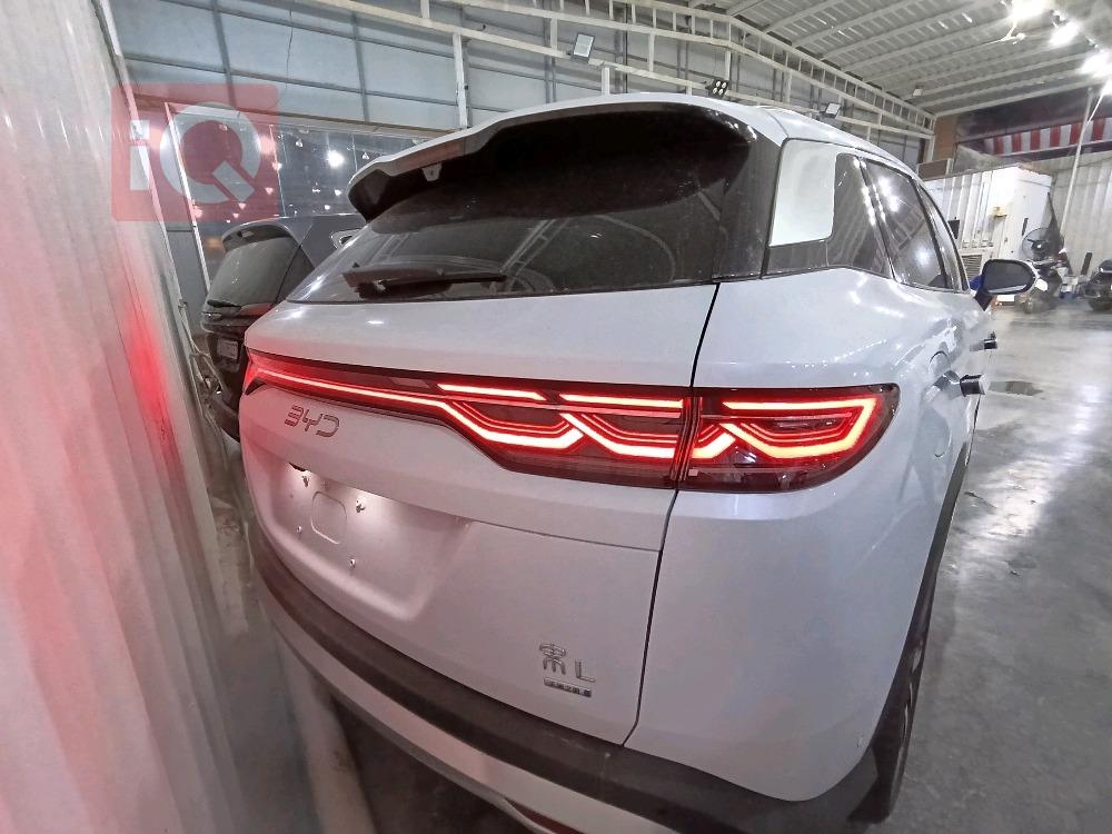 بي واي دي كوين L DM-i